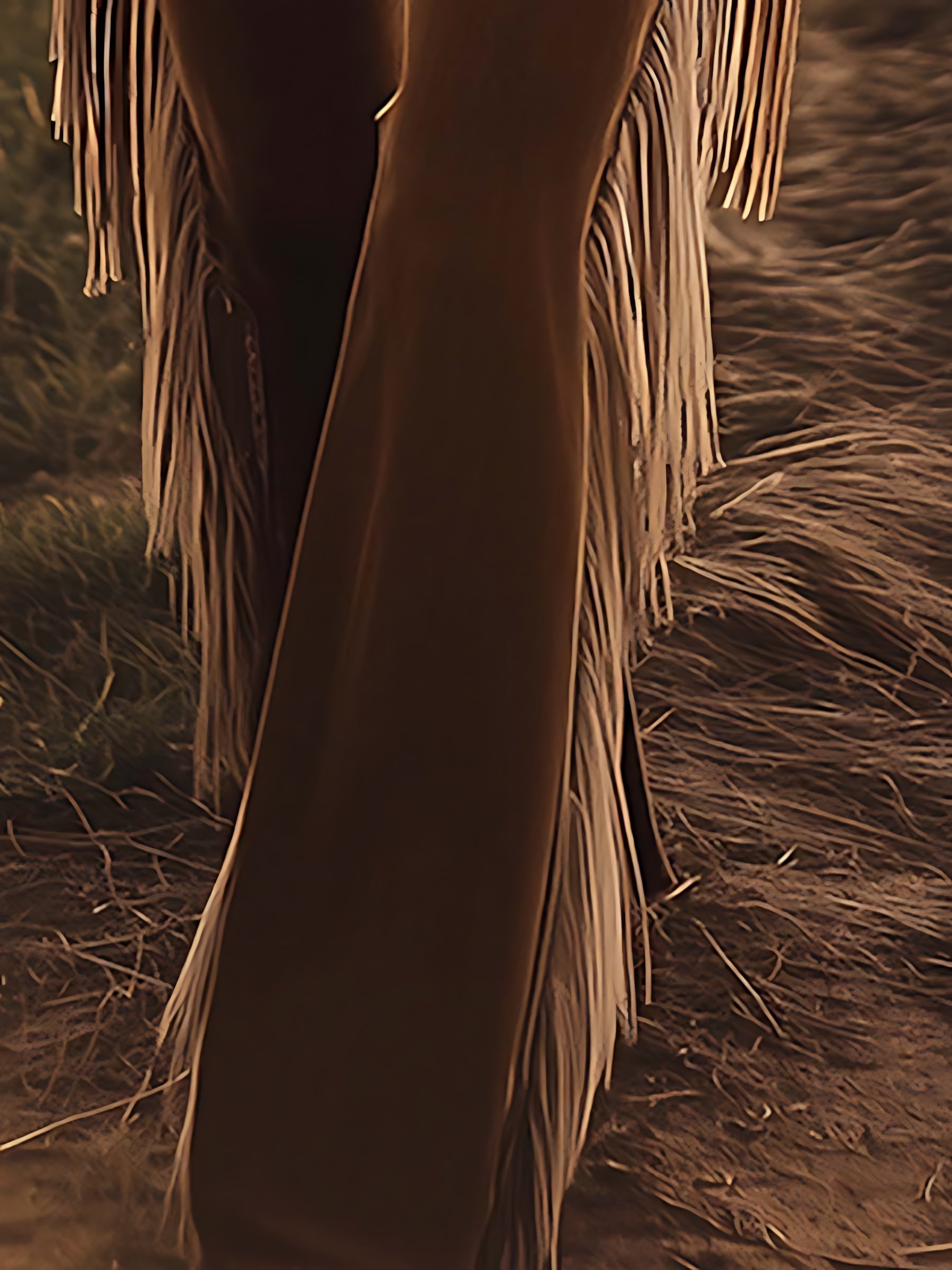 Kinsley – Fringe Western Flare Jeans